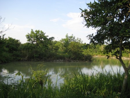 4 rai in Hua Doi next to scenic lakes