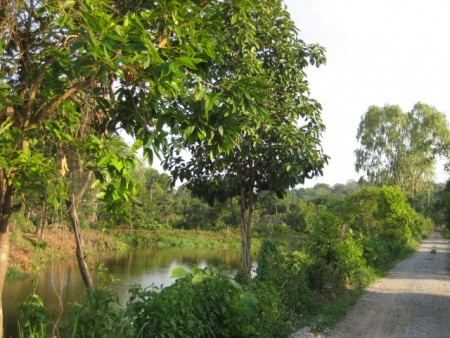 4 rai in Hua Doi next to scenic lakes