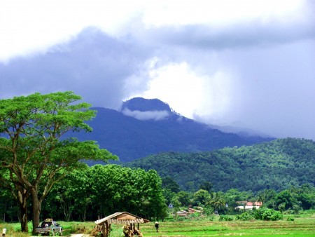 A Gem of a property in Mae Lao