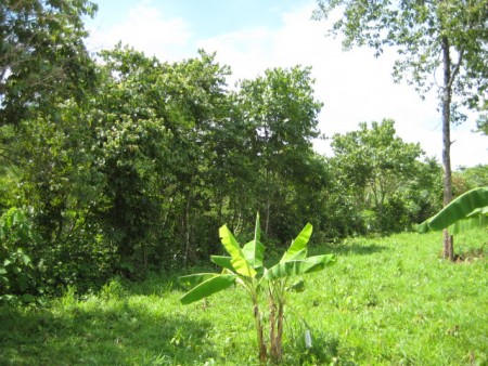 Scenic hill property near Santiburi Golf Course