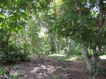 Scenic hill property near Santiburi Golf Course