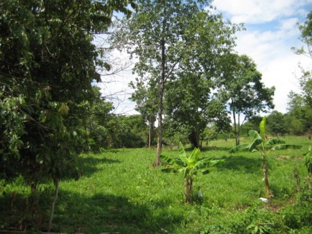 Scenic hill property near Santiburi Golf Course