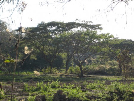 Beautiful plot of land on lake next to Santiburi Golf Course