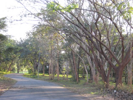 Beautiful plot of land on lake next to Santiburi Golf Course