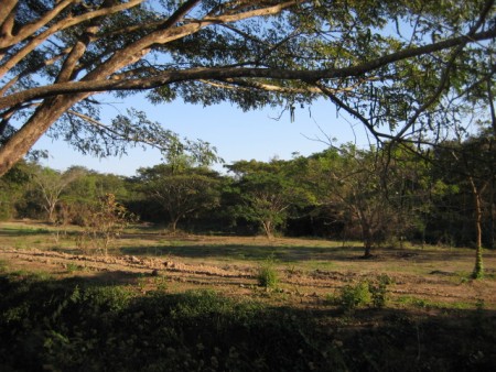 Beautiful plot of land on lake next to Santiburi Golf Course