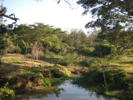 Beautiful plot of land on lake next to Santiburi Golf Course