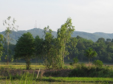 50 rai in Hua Doi, well-priced
