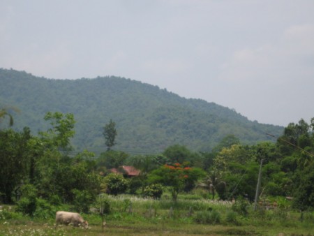 8 rai of gentle slopes and views near Boonrawd Farms
