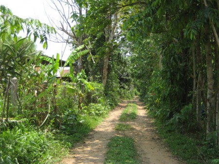 8 rai of gentle slopes and views near Boonrawd Farms