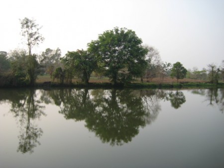 On the pond, well-priced