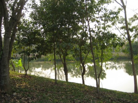 On the pond, well-priced