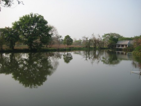On the pond, well-priced