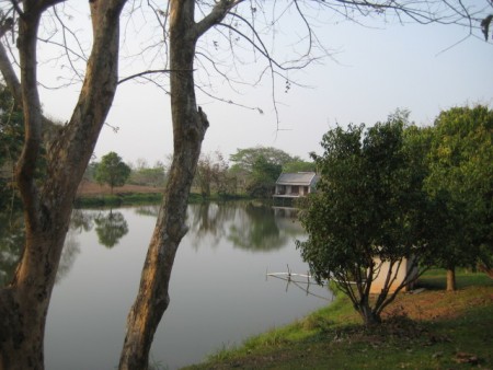 On the pond, well-priced