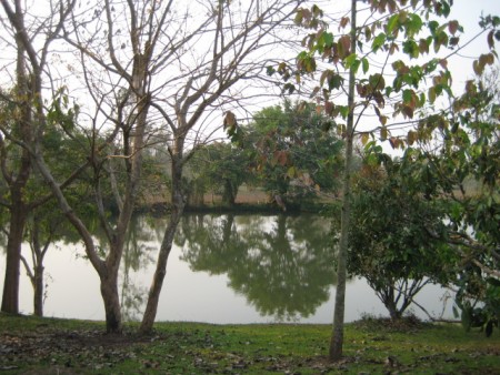On the pond, well-priced