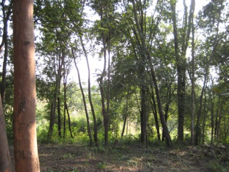 11 rai on hill near waterfall
