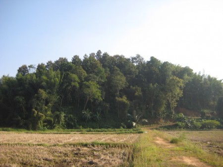 11 rai on hill near waterfall
