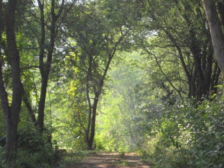 11 rai on hill near waterfall