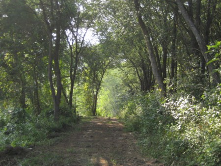 11 rai on hill near waterfall