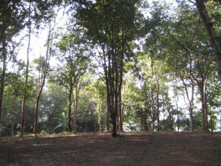 11 rai on hill near waterfall
