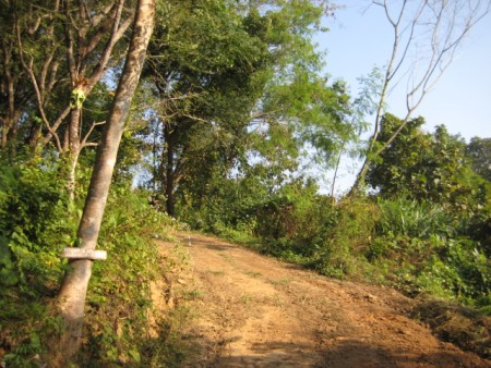 11 rai on hill near waterfall