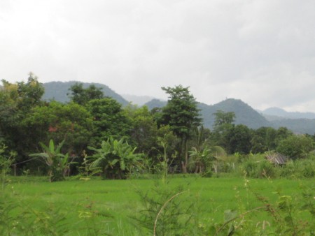 8 rai in central location with nice views