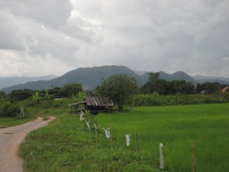 8 rai in central location with nice views
