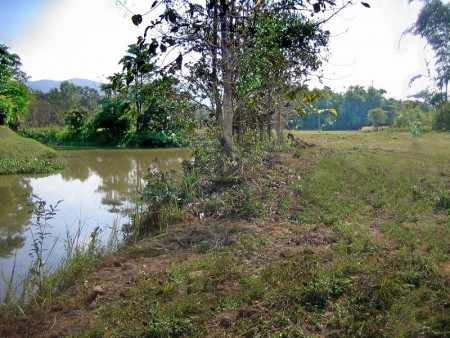 Plots for sale in small, well-run Development