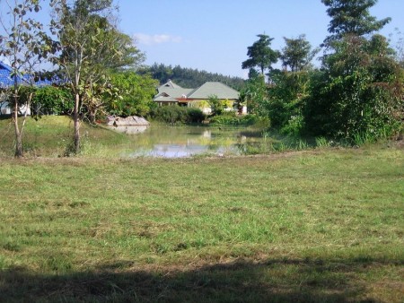 Plots for sale in small, well-run Development