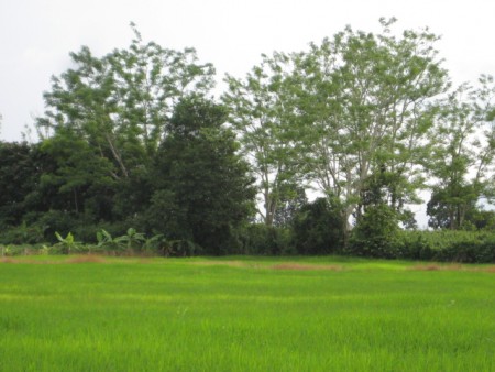 7 rai near secret lake