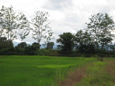 7 rai near secret lake
