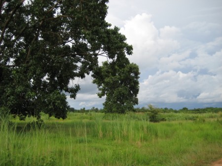 7 rai near secret lake