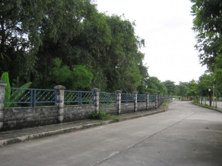 3 rai next to park along Mae Kok river