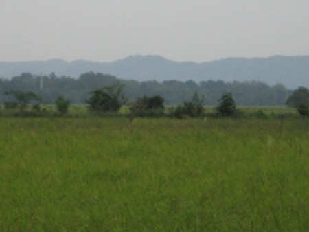 Land in downtown Wiang Chai