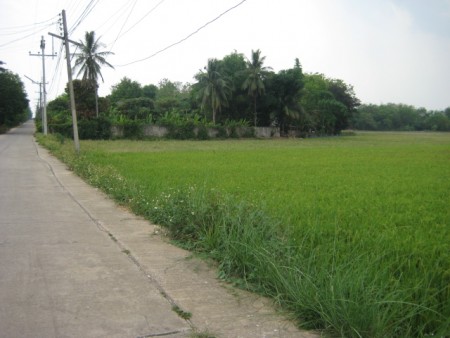 Land in downtown Wiang Chai