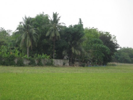 Land in downtown Wiang Chai