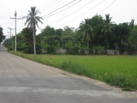 Land in downtown Wiang Chai