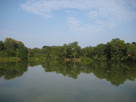 23 rai in Mae Yao
