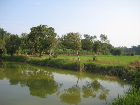 23 rai in Mae Yao