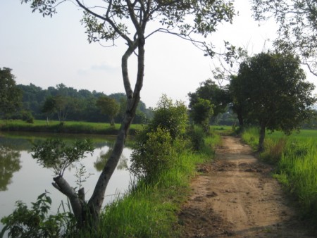 23 rai in Mae Yao