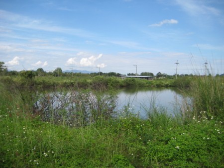 15 rai near new bypass road