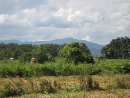 15 rai near new bypass road