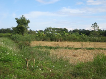 15 rai near new bypass road
