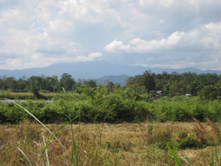 15 rai near new bypass road