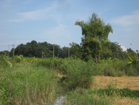15 rai near new bypass road