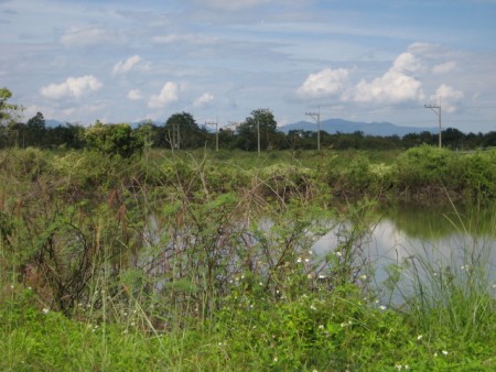 15 rai near new bypass road