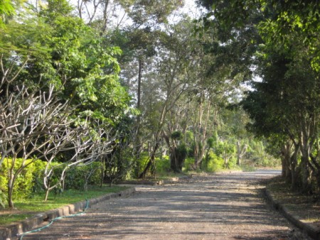 Atmospheric home in park