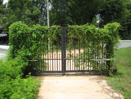 Beautiful 2 rai next to the Mae Korn river, very central location
