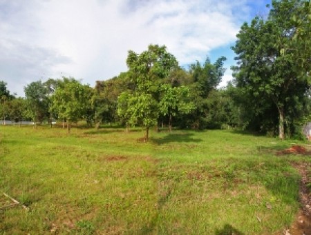 Beautiful 2 rai next to the Mae Korn river, very central location
