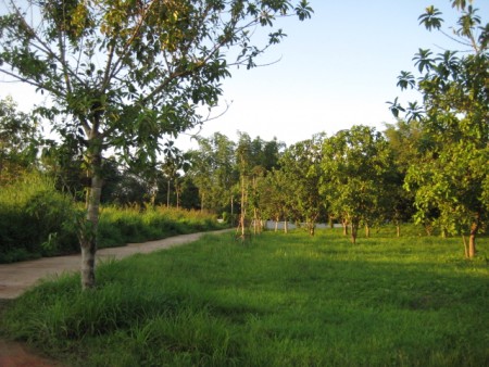 Beautiful 2 rai next to the Mae Korn river, very central location