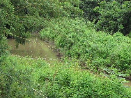 Beautiful 2 rai next to the Mae Korn river, very central location